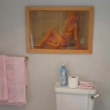 住宿加早餐酒店 Swan 4*