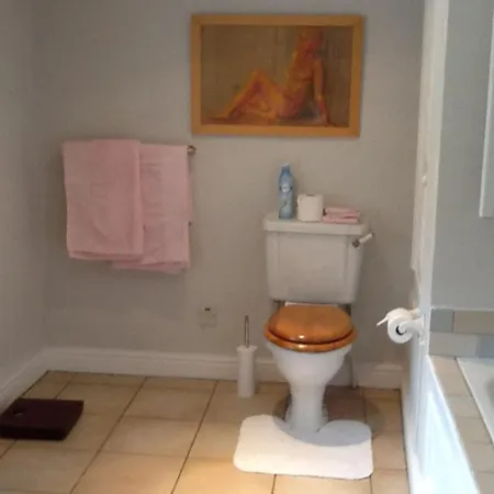 住宿加早餐酒店 Swan 4*