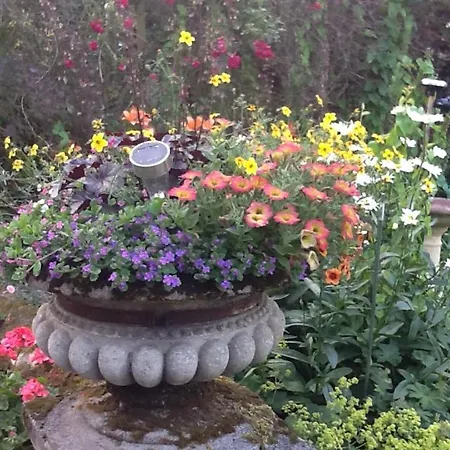Bed & Breakfast Swan Coxwold