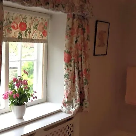 B&B Swan